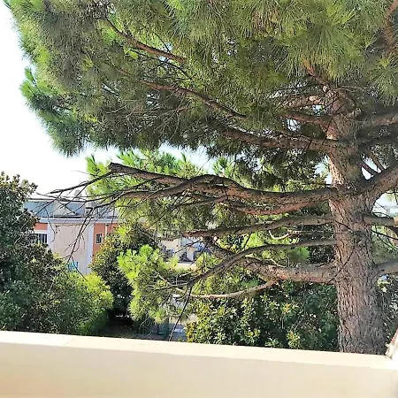 公寓 Charming In 47 Sqm With Balcony Parking 代森扎诺-德尔加达